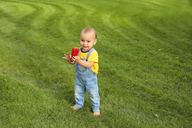 un petit garçon en T-shirt jaune est debout sur la pelouse du parc tenant un poivron rouge