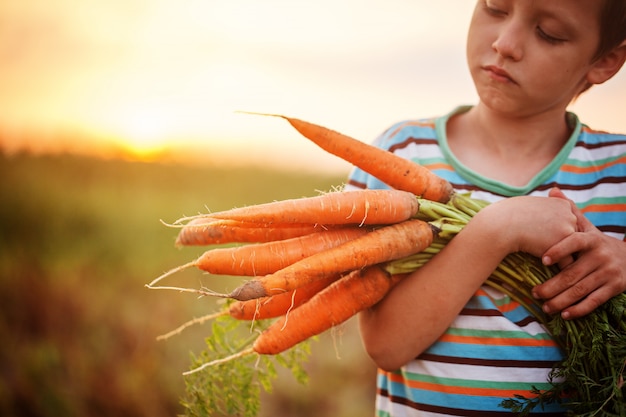 Petit garçon tenant une carotte dans ses mains.