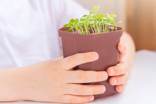 Petit garçon tenant le pot avec une jeune plante. Prendre soin de la nature. concept de vacances jour de la terre et journée mondiale de l'environnement.