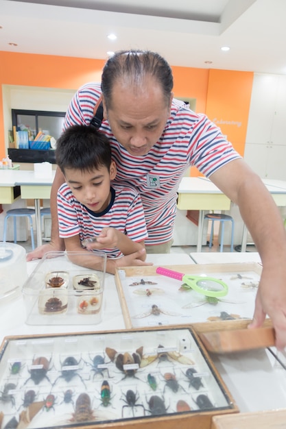 Petit garçon en train d&#39;apprendre sur le cours de science des insectes