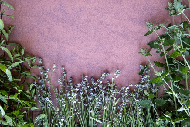 Petit jardin d'herbes aux épices sur fond bleu vue plate