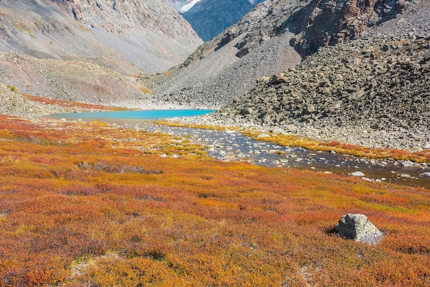 Petit lac azur parmi une vallée de haute montagne multicolore dans des couleurs vives d'automne entre les rochers par temps ensoleillé Rivière pierreuse peu profonde du lac de montagne parmi des arbustes de bouleaux nains hétéroclites sous un soleil éclatant à l'automne