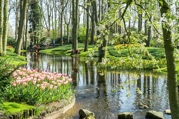 Un petit lac dans un beau jardin