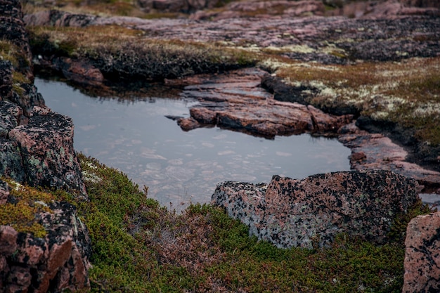 Petit lac du cercle polaire arctique