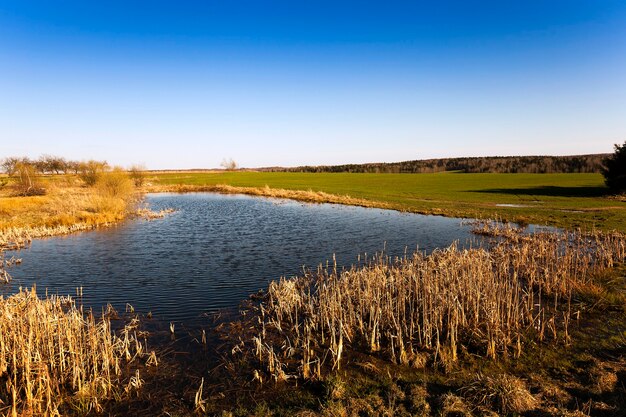 Un petit lac, photographié en saison estivale