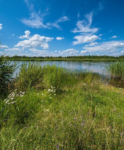 Petit lac rushy pittoresque Journée d'été ensoleillée