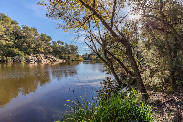 Photo petit lac à terrassa, barcelone