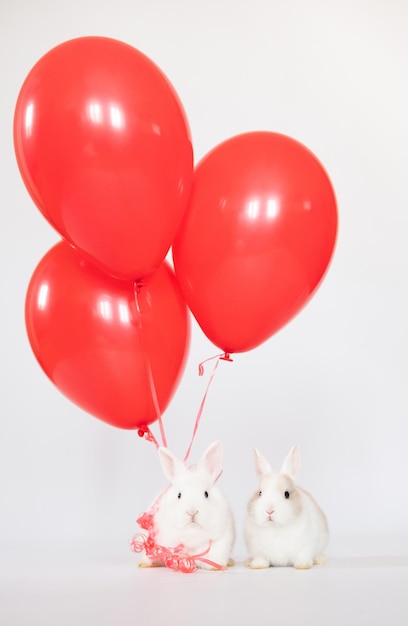 Le petit lapin avec des ballons roses rouges colorés aime les animaux de compagnie