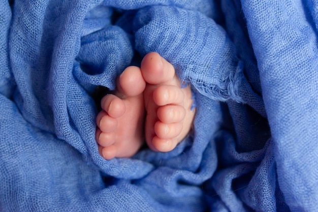 Le petit pied d'un nouveau-né Les pieds doux d'un nouveau-né dans une couverture de laine bleue