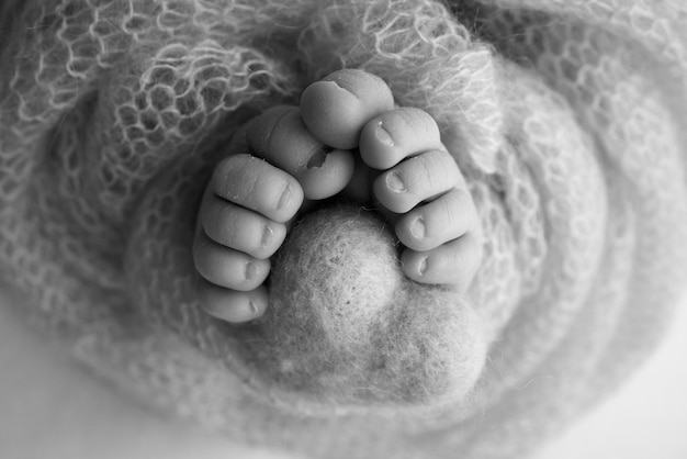 Le petit pied d'un nouveau-né Pieds doux d'un nouveau-né dans une couverture en laine Gros plan sur les orteils, les talons et les pieds d'un nouveau-né Coeur tricoté dans les jambes de bébé Macrophotographie Noir et blanc