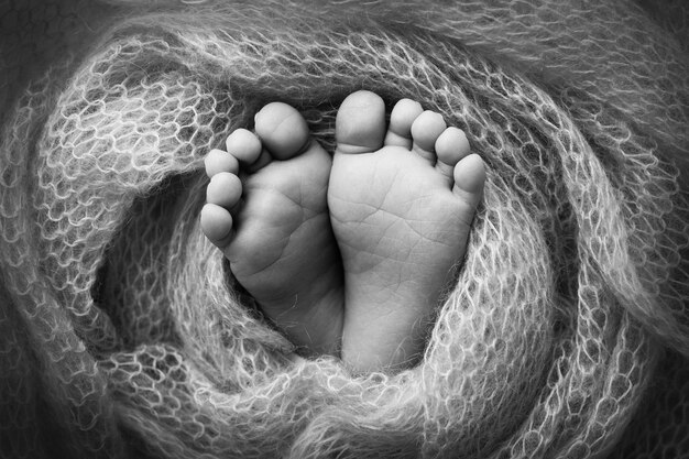 Le petit pied d'un nouveau-né Pieds doux d'un nouveau-né dans une couverture en laine Gros plan sur les orteils, les talons et les pieds d'un nouveau-né Studio Macro photographie noir et blanc Le bonheur de Woman39s