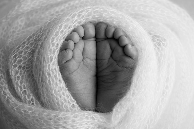 Le petit pied d'un nouveau-né Pieds doux d'un nouveau-né dans une couverture en laine rose Gros plan sur les orteils, les talons et les pieds d'un nouveau-né Studio Macro photographie Noir et blanc