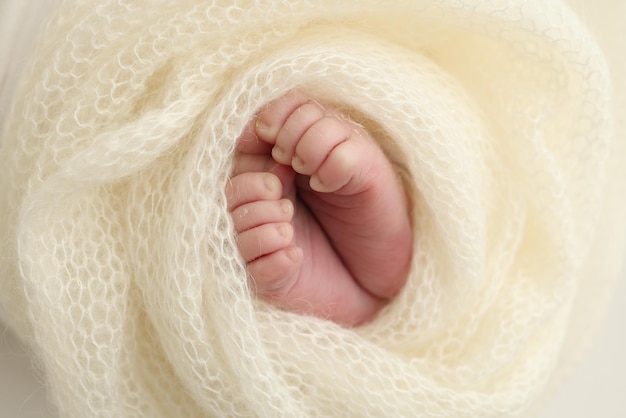 Le petit pied d'un nouveau-né, les pieds doux d'un nouvellement né dans une couverture blanche en laine, le gros plan des orteils, des talons et des pieds d'un nouveauné.