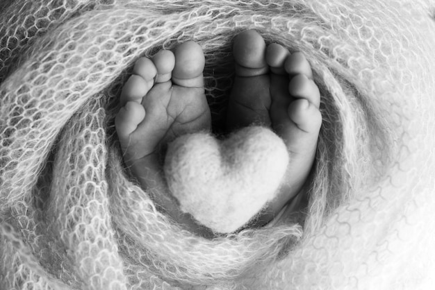 Photo le petit pied d'un nouveau-né, les pieds doux d'un nouvellement-né dans une couverture de laine, le gros plan des orteils, des talons et des pieds d'un nouveauné, le cœur tricoté dans les jambes d'un bébé, la photographie macro en noir et blanc.