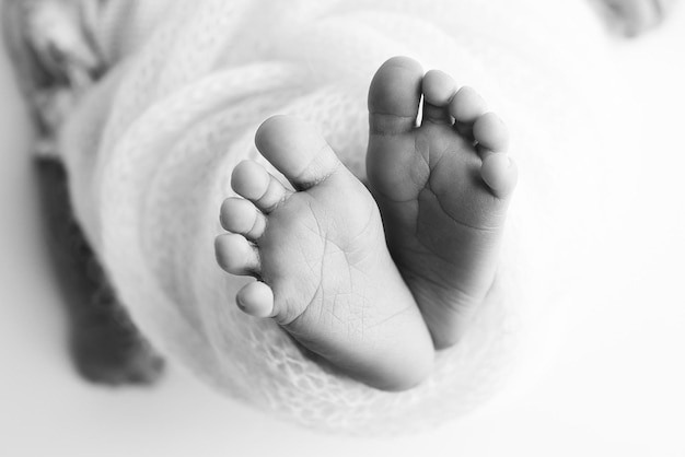 Le petit pied d'un nouveau-né, les pieds doux d'un nouvellement né dans une couverture, les orteils, les talons et les pieds d'un jeune nouveau-né en gros plan, photographie macro en noir et blanc.