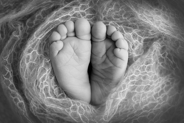 Photo le petit pied d'un nouveau-né pieds mous d'un nouveau-né dans une couverture gros plan sur les orteils, les talons et les pieds d'un nouveau-né studio macro photographie woman39s bonheur concept noir et blanc