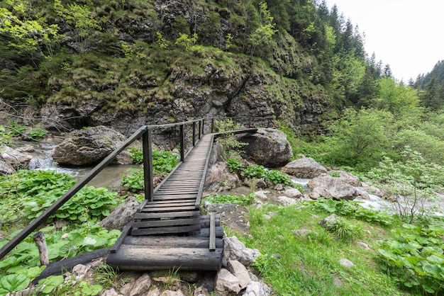 Petit pont de bois dans les Carpates