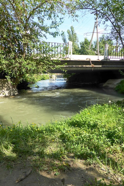 Petit pont sur le ruisseau