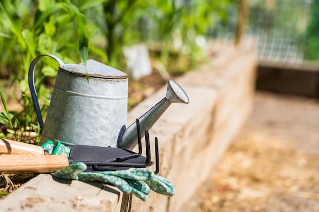 Petit potager bio en zone urbaine.