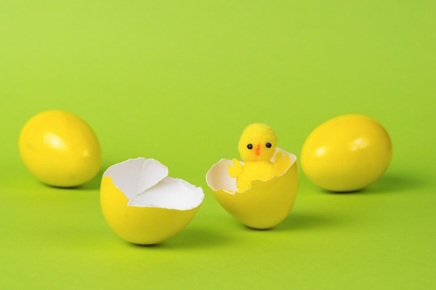 Un petit poulet dans un œuf cassé et des œufs jaunes entiers sur fond vert.