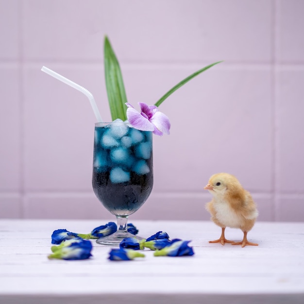 Un petit poussin jaune avec de l'eau de pois papillon et de la glace dans un verre de champagne