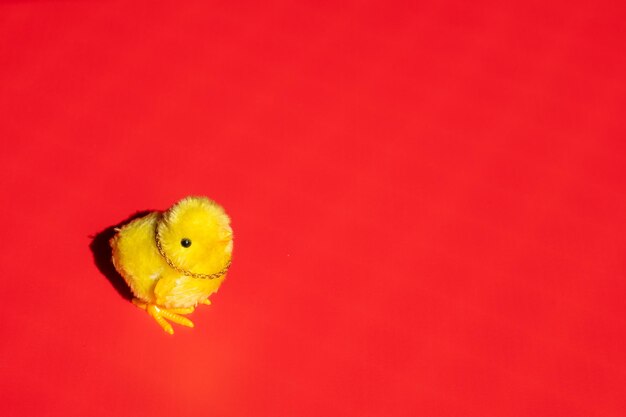 Le petit poussin mignon se tient seul sur un fond rouge