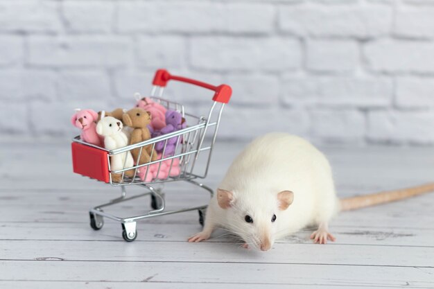 Un petit rat blanc mignon à côté du chariot d'épicerie est rempli d'ours en peluche multicolores. Faire ses courses au marché. Acheter des cadeaux pour les anniversaires et les vacances.