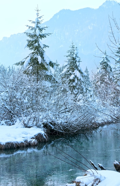 Petit ruisseau d'hiver avec des arbres enneigés sur la rive.