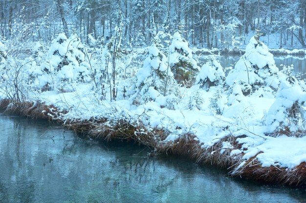 Petit ruisseau d'hiver avec des arbres enneigés sur la rive.