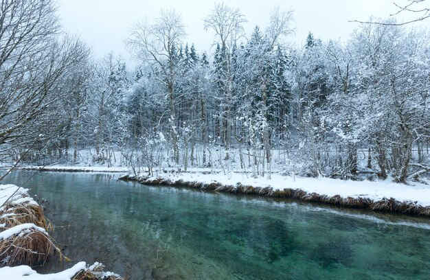 Petit ruisseau d'hiver avec des arbres enneigés sur la rive.