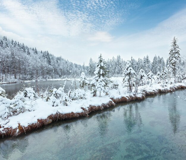 Petit ruisseau d'hiver avec des arbres enneigés