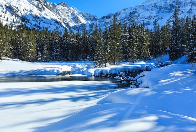 Petit ruisseau de montagne avec congères aux bords et forêt de sapins.