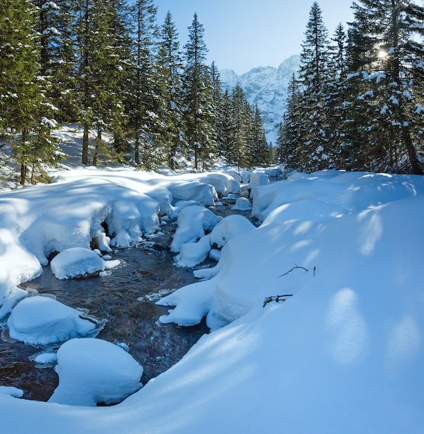 Photo petit ruisseau de montagne avec congères sur les bords et sapins en pente.