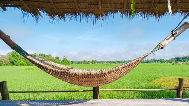 petit séjour dans une ferme avec des rizières vertes dans le centre de la Thaïlande