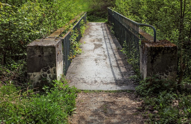 Petit vieux pont en béton, clôture rouillée, recouverte d'une épaisse végétation avec une forêt verte autour.