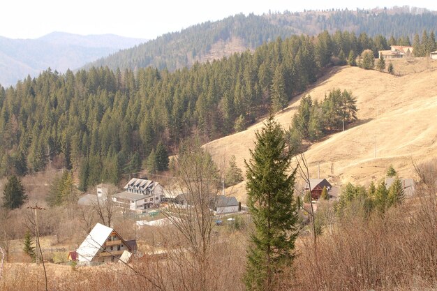 un petit village avec un panneau disant camp sur le côté