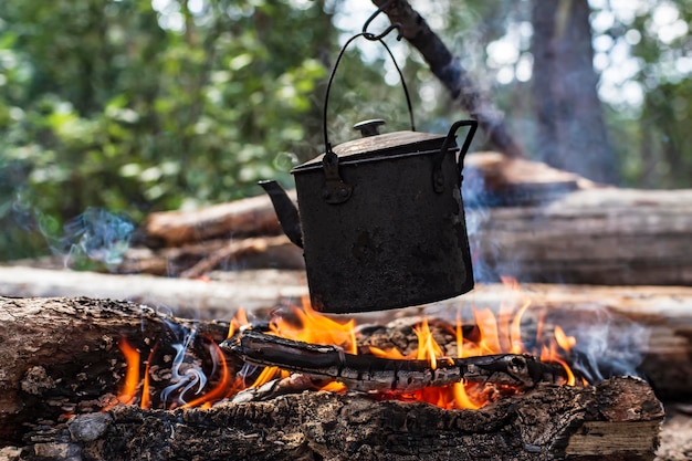 Une petite bouilloire avec de l'eau est chauffée sur un feu dans une forêt par une journée ensoleillée d'été