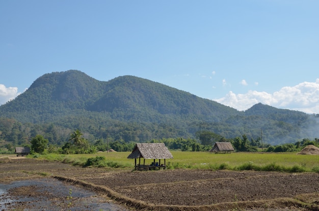 petite cabane à la ferme en pays