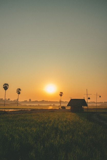 Petite cabane sur la rizière avec lever de soleil dans le concept de paisible