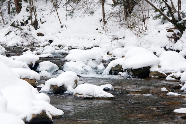 une petite cascade active propre ruisseau de montagne paysage d'hiver enneigé faune fond