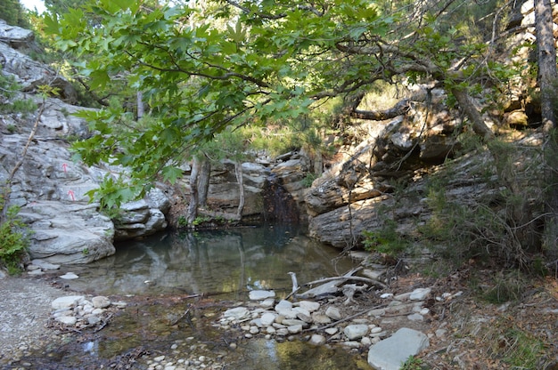 petite cascade dans le lac de pierres dans les vacances d'été de pierres