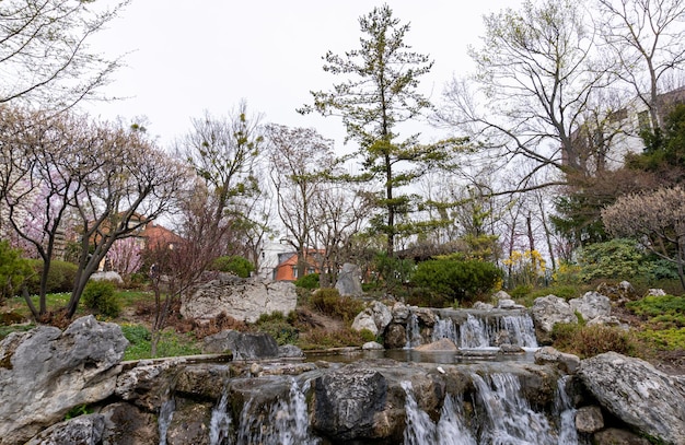 Petite cascade dans le parc Setagaya Vienne Vue de la cascade dans un beau jardin sur un printemps nuageux