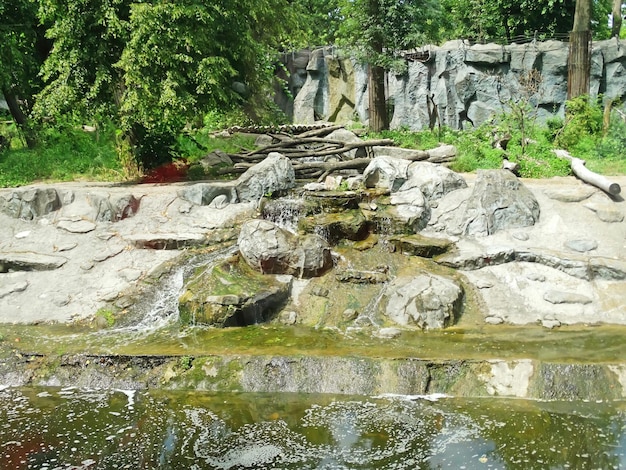 Une petite cascade décorative dans le jardin Aménagement paysager