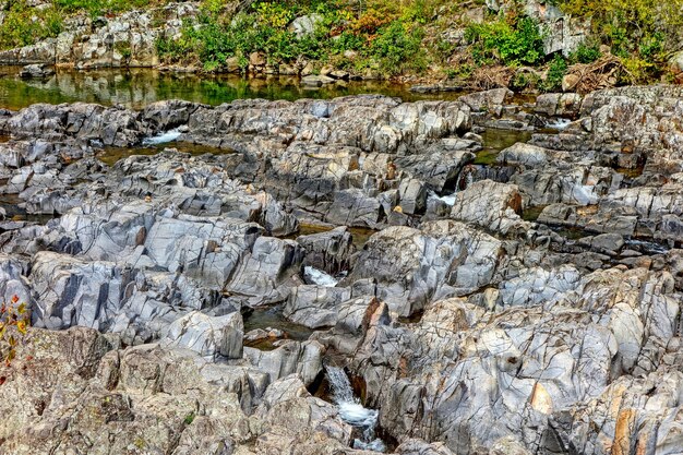 Petite cascade entourée de rochers et de plantes dans une forêt - idéale pour les papiers peints