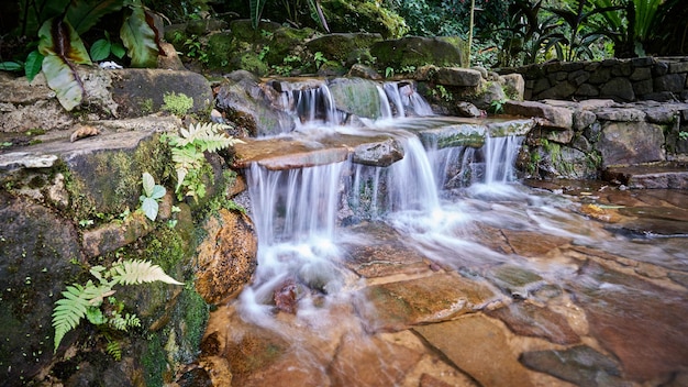 petite cascade fraîche et fraîche