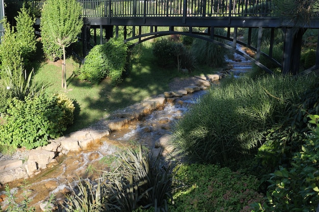 petite cascade avec pont piétonnier dans un parc public