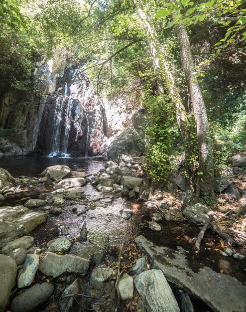 Petite cascade près d'une rivière