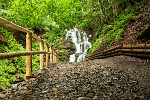 Photo petite cascade de rivière de montagne parmi les arbres