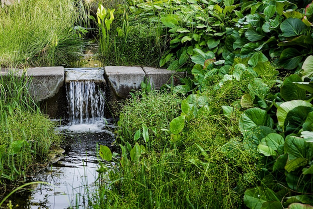 La petite cascade