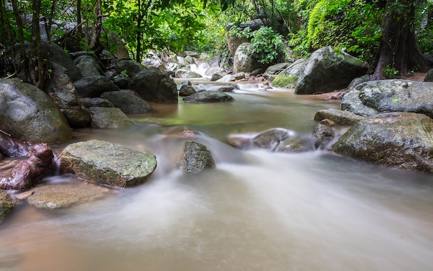 petite chute d&#39;eau dans la forêt